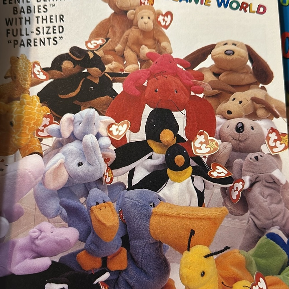 Magazine - Picture 2 of 5